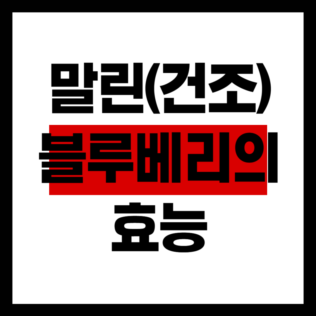 말린 블루베리의 효능