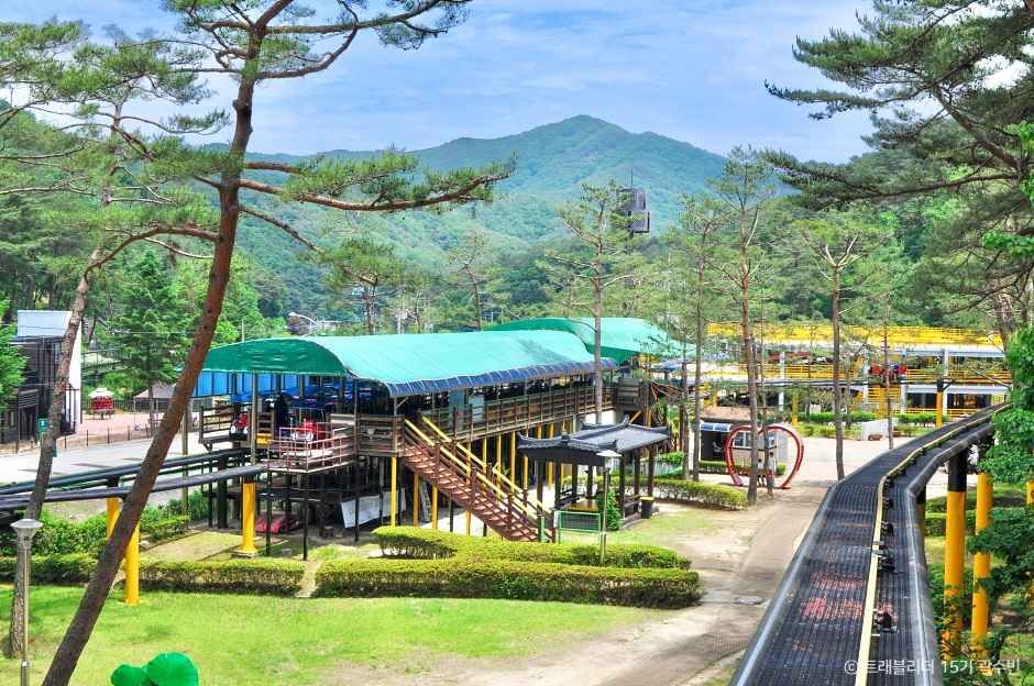 보은 가볼만한곳 베스트10