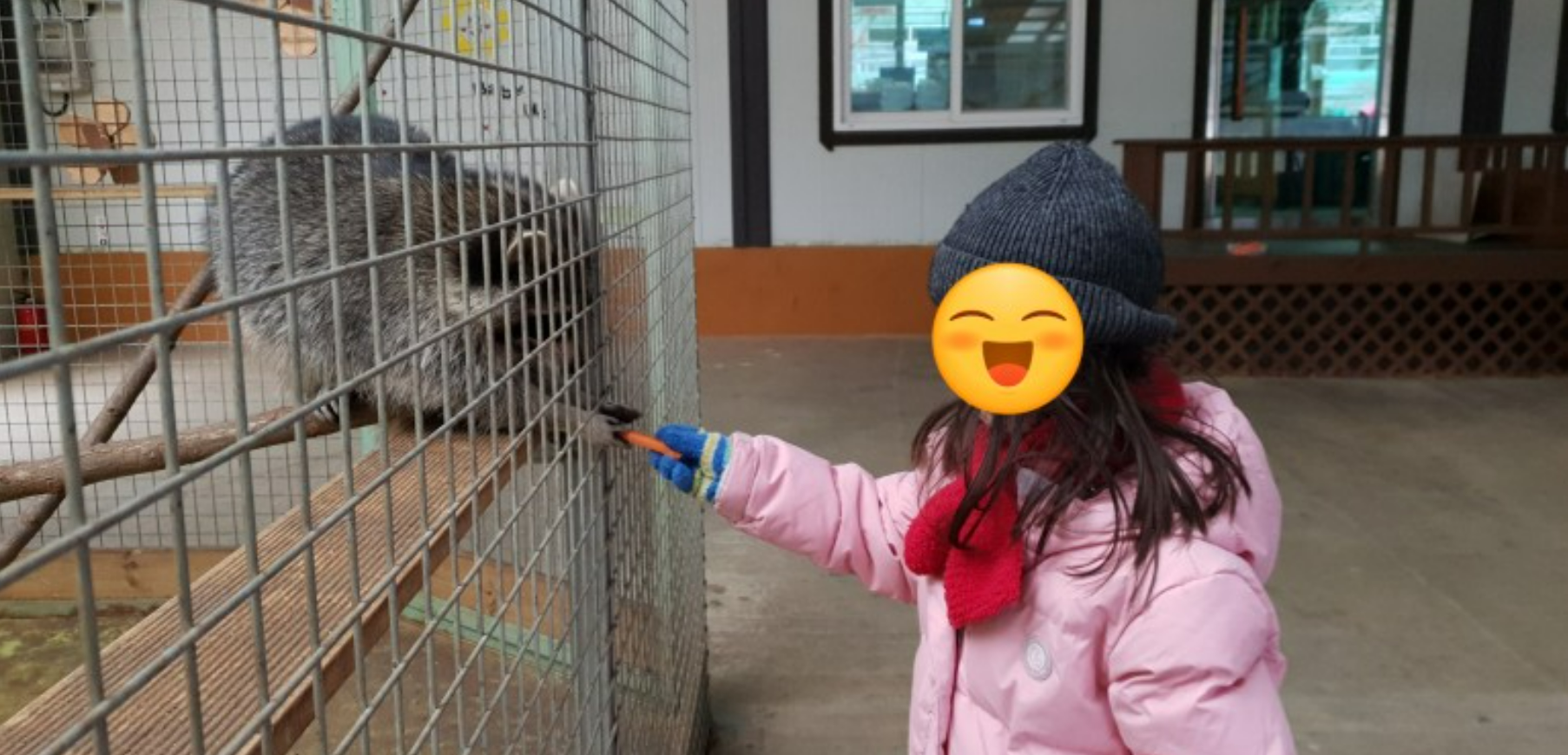 개과천선의 여행정보_강원도 홍천 동키마을 방문 후기 및 정보 (가족 나들이, 아이들과 나들이, 홍천 가볼만한 곳)