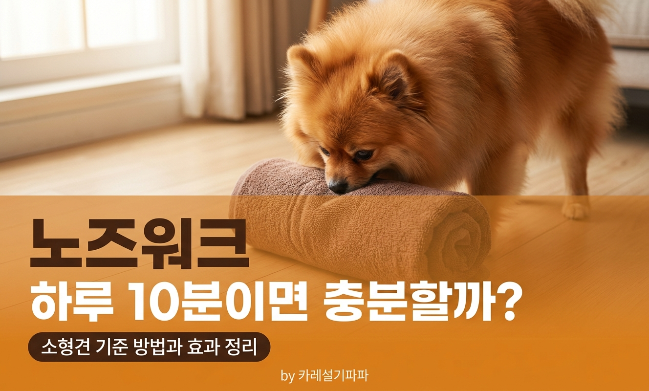포메라니안 노즈워크 수건 탐색
