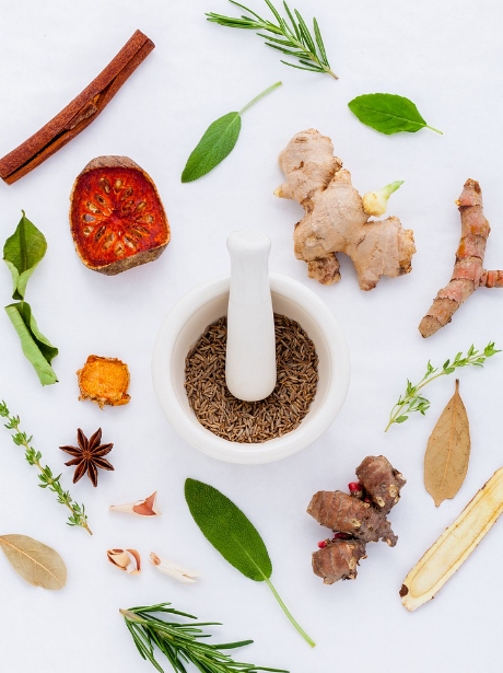 음식물처리기-지원사업