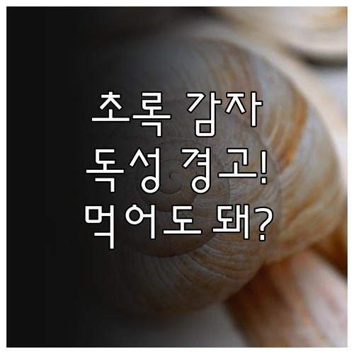 감자 초록색 부분 독성, 제거하고 먹..