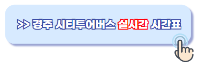 경주 시티투어버스 시간표