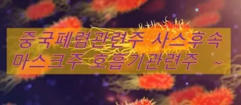 중국폐렴 대장주 관련주 TOP5 총정리_15