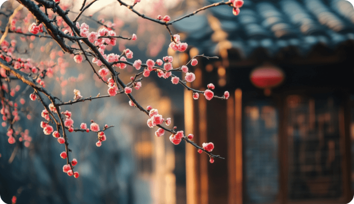 원동매화축제 