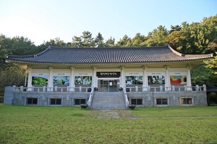 전북 고창 ‘학원농장 메밀꽃밭’ 감성 여행기