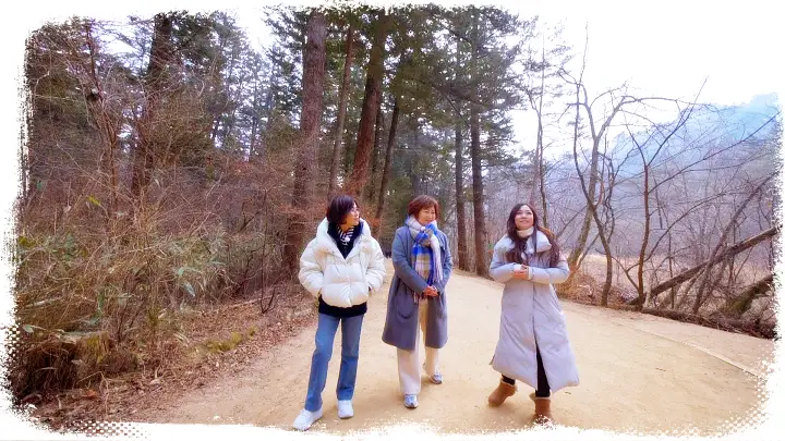 이선희 이금희 박정현 조세현 강원도 평창 오대산 월정사 전나무 숲길 여행 정보
