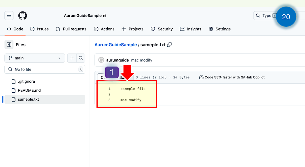 GitHub 사이트에서 수정된 파일을 확인합니다.