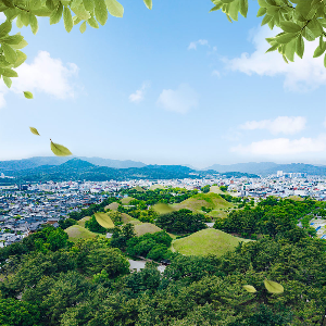 경주 가볼만한 곳 경주대릉원