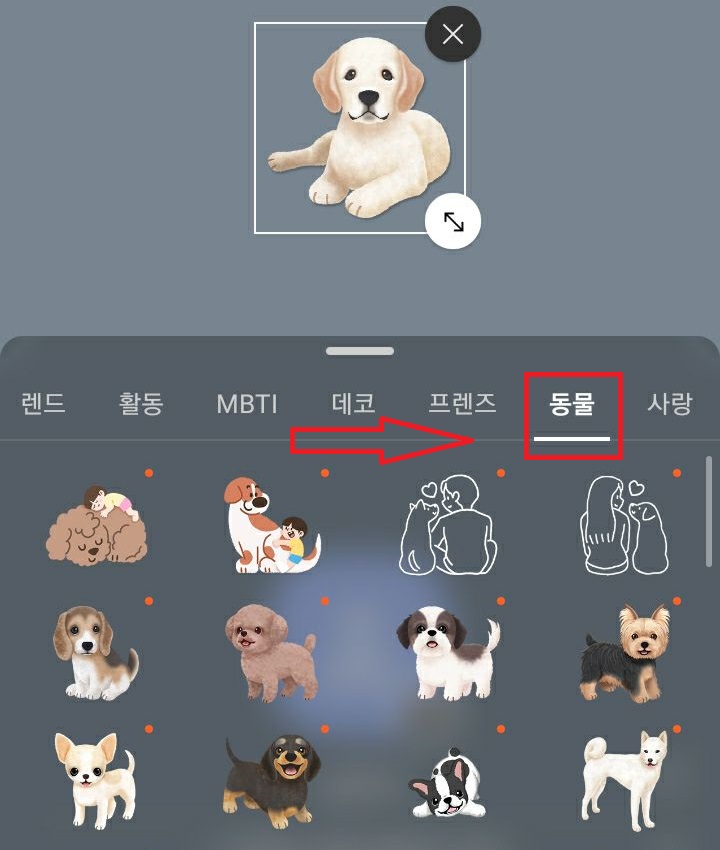 동물아이콘 보임