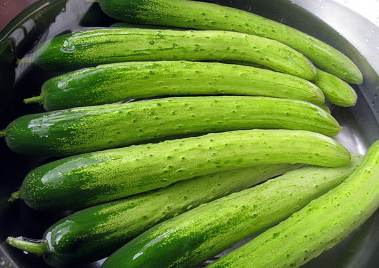 더위 먹었을 때, 맹물보다 '오이'가 100배 ,오이효능