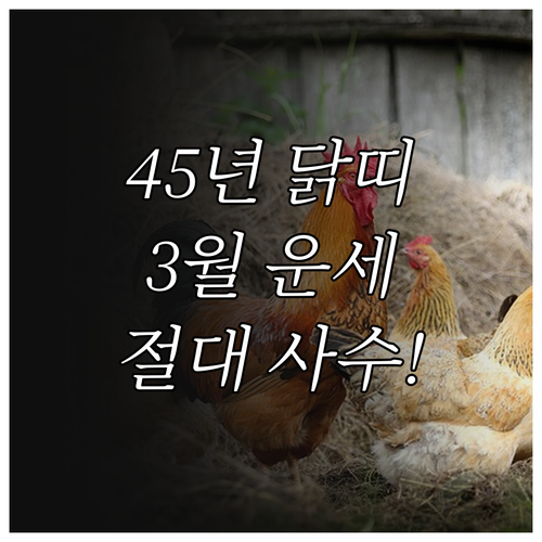 2026년 3월 1945년생 닭띠 운..