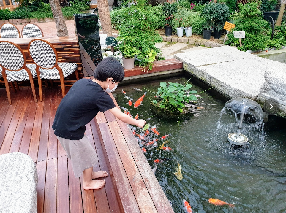 바오밥식물원베이커리카페 후기