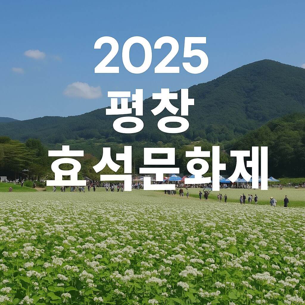 2025 평창 효석문화제 현장, 푸른 산을 배경으로 넓게 펼쳐진 메밀꽃밭과 축제를 즐기는 사람들
