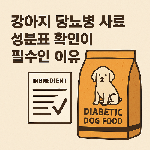 Alt 속성 문제 해결 설명 이미지