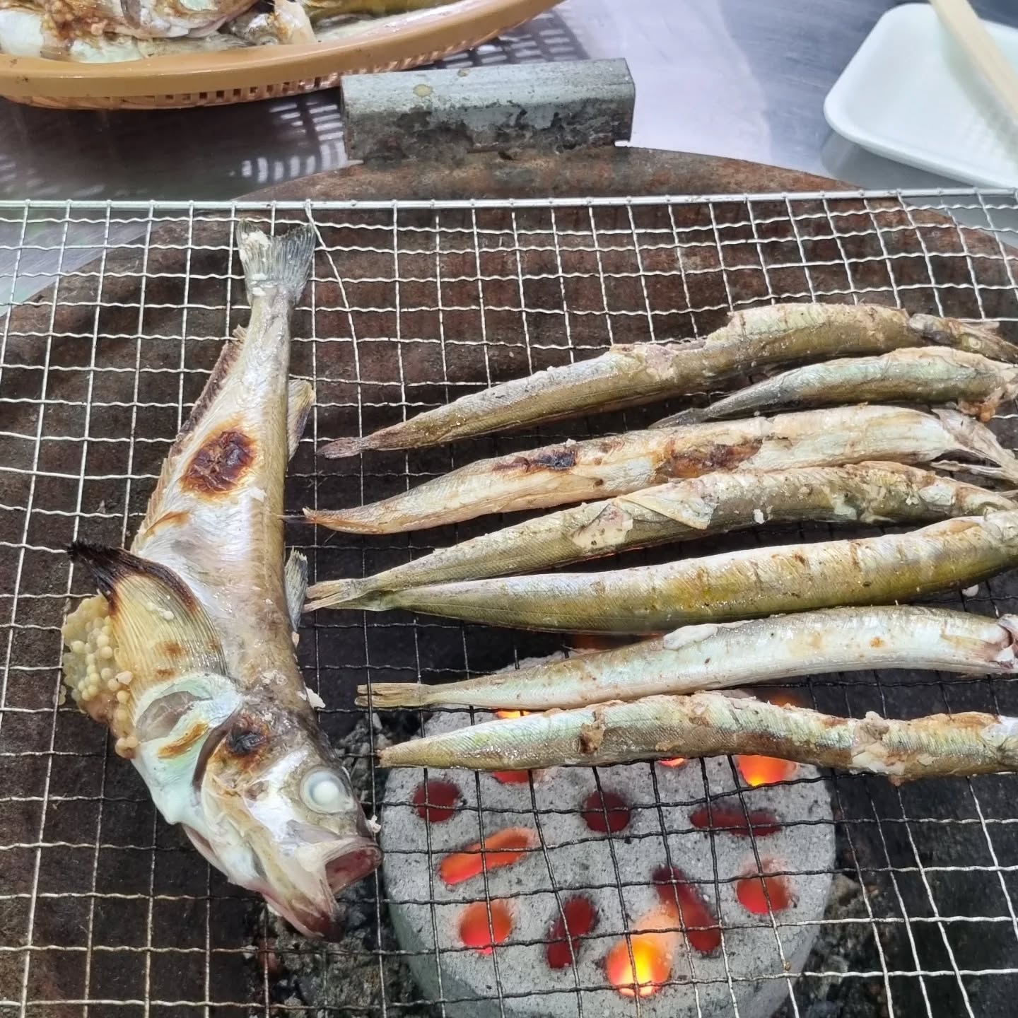 고성 오호항 도루묵 풍어잔치 야간 풍경(이미지 교체 예정)