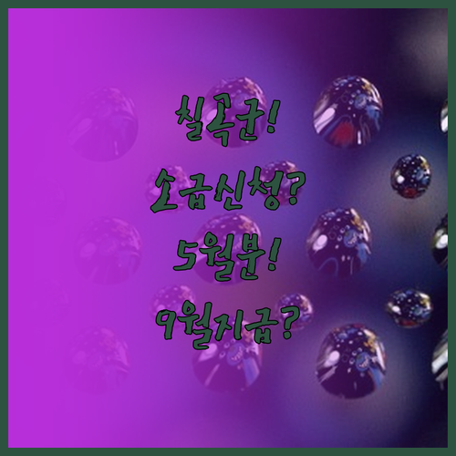 칠곡군 청년월세지원 2026년 9월 ..