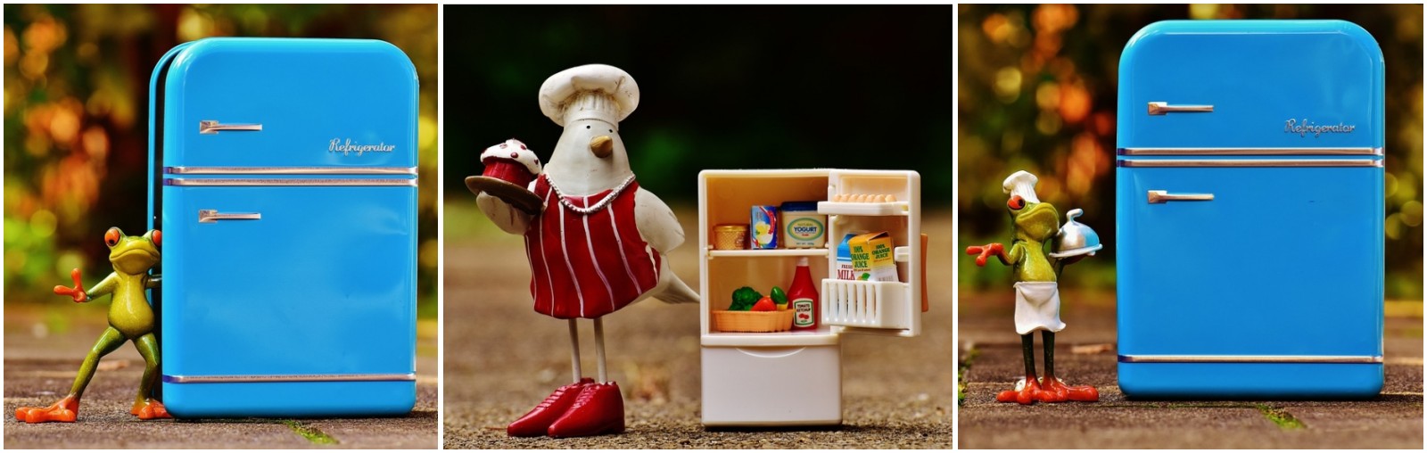 개구리와 닭 그리고 냉장고