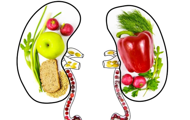 신장 영양제 성분 추천 (성분 주의사항 Tip)