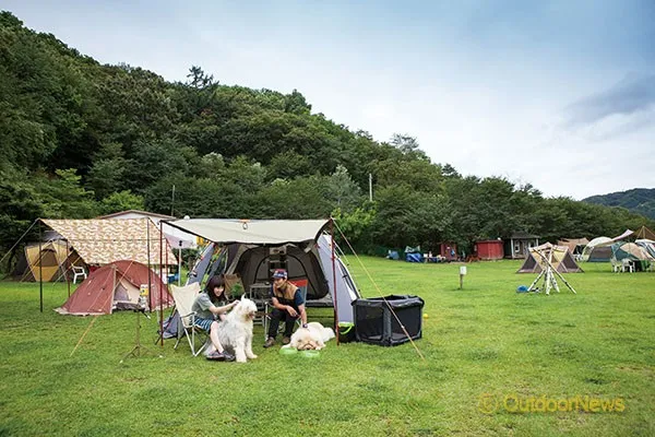 서울 마포 반려동물 캠핑장 도심 속 힐링 명소 가이드_5