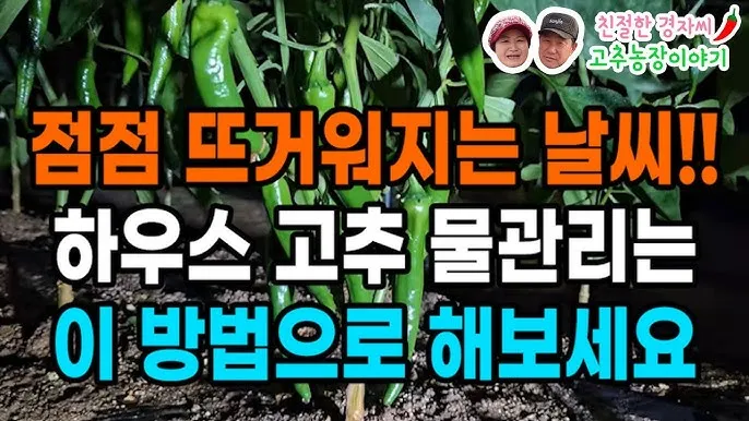 하우스 재배 물관리 점적관수 타이머 EC pH 양액 관리_1