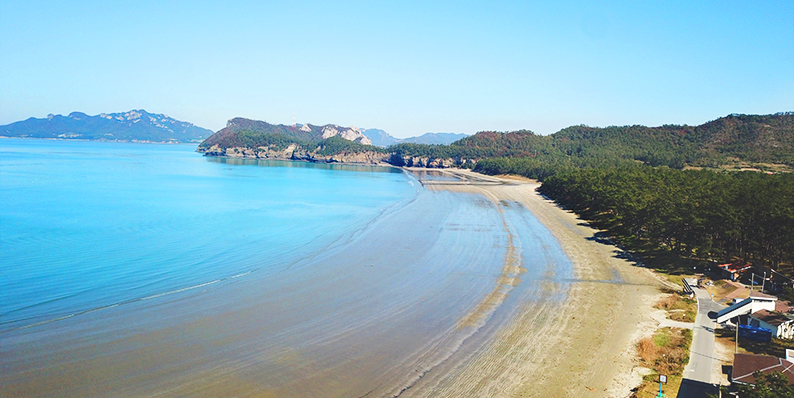 관매도 해변과 곰솔림