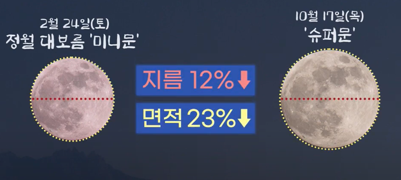 2024 정월대보름 라이브 방송 보기, 부럼 먹방 필수!