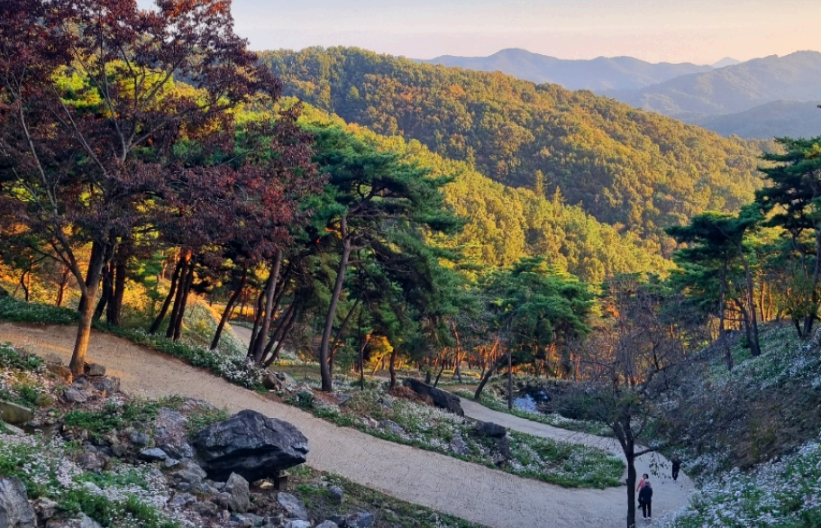 구절산 구절초 길