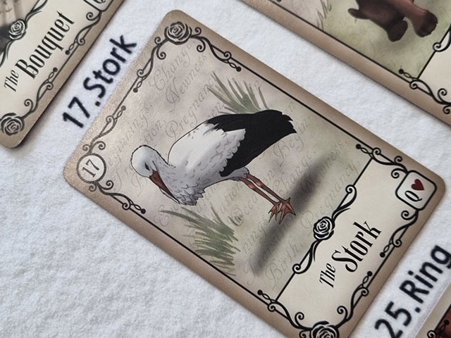 드림타로21 &ndash; 언더로즈 레노먼드 17번 황새 / Dreamtarot21 &ndash; Under the Roses Lenormand No.17 황새, 이동과 개선, 새로운 환경