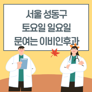 서울 성동구 토요일 일요일 이비인후과 진료 병원 리스트