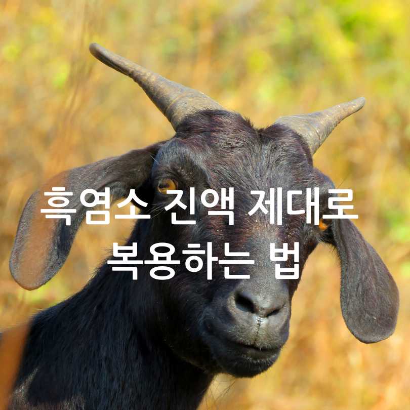 흑염소 진액 효능, 부작용, 복용법