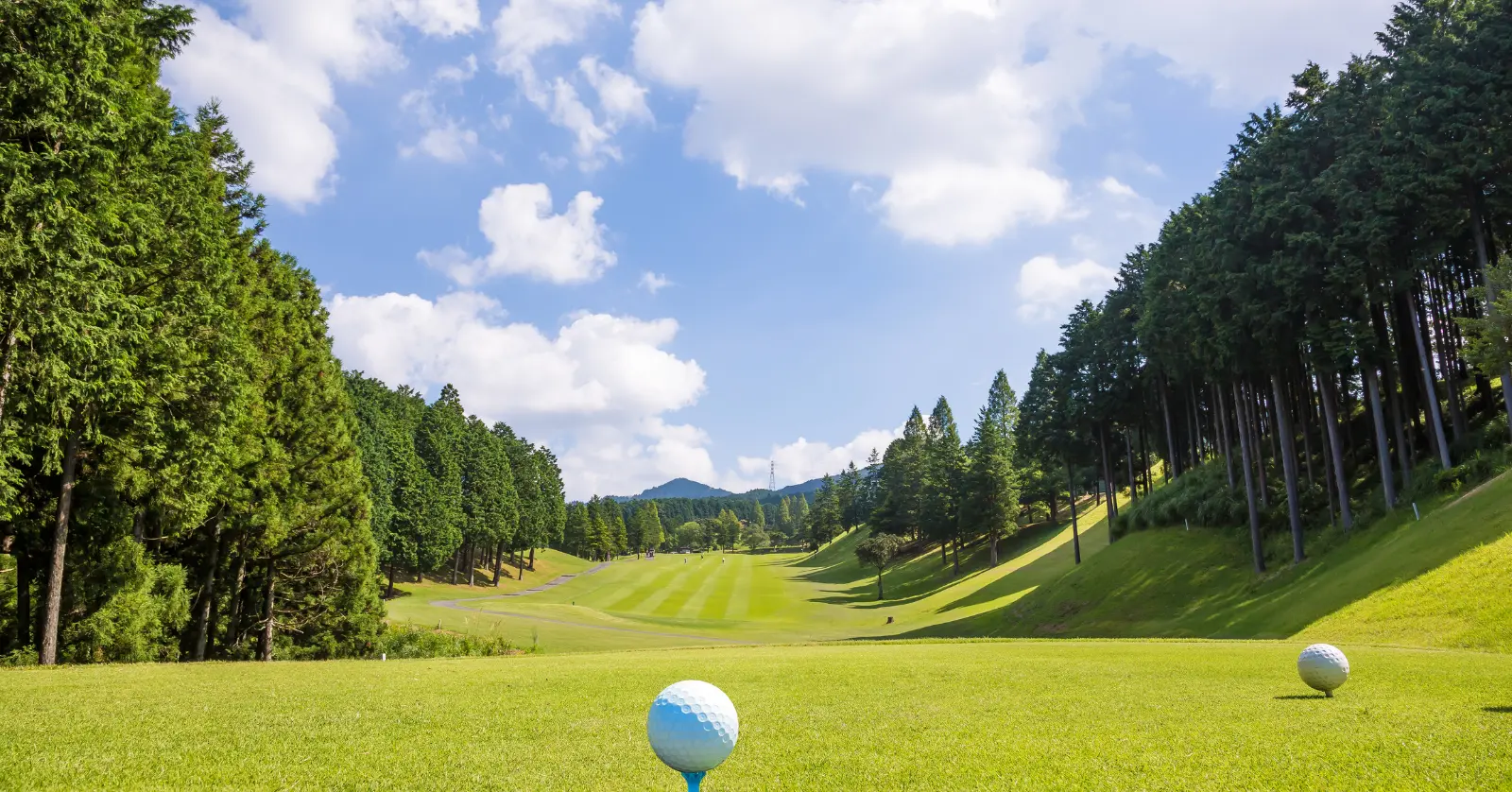 골프 라운딩 시 발생하는 주요 비용 항목