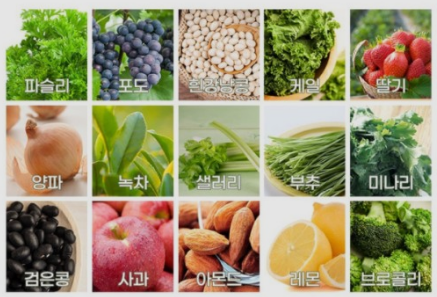 서트푸드다이어트 음식