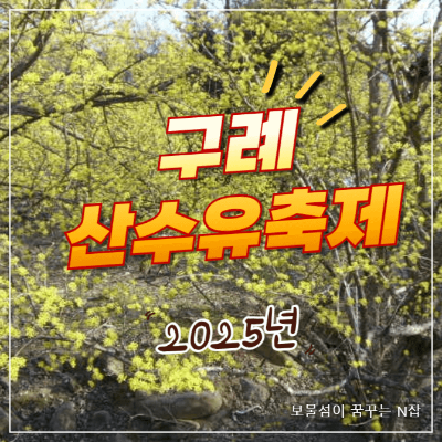 구례 산수유축제 기간
