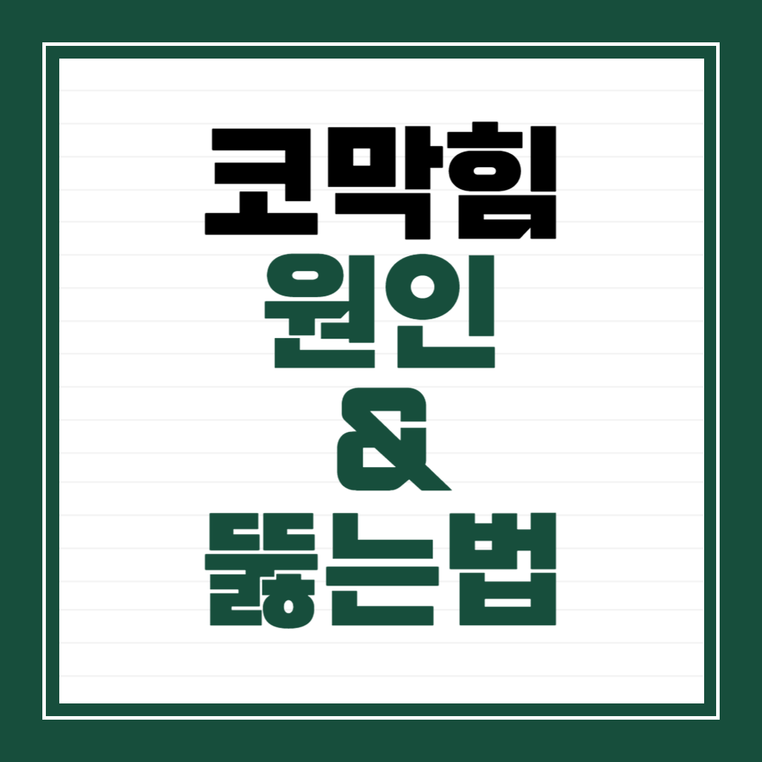 코막힘 원인