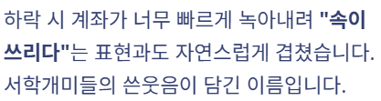 속쓸 주식용어 뜻