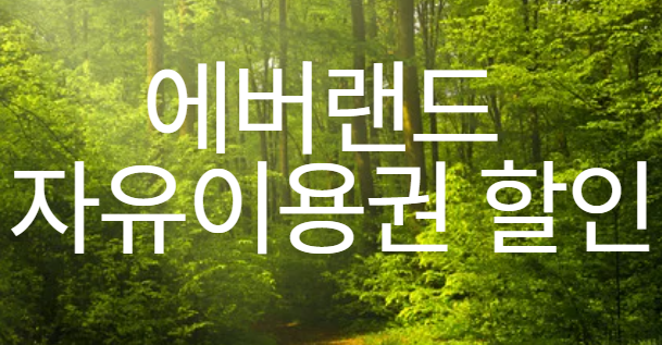 에버랜드 자유이용권 할인 이미지