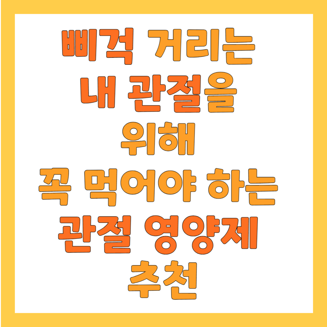 관절 영양제 추천