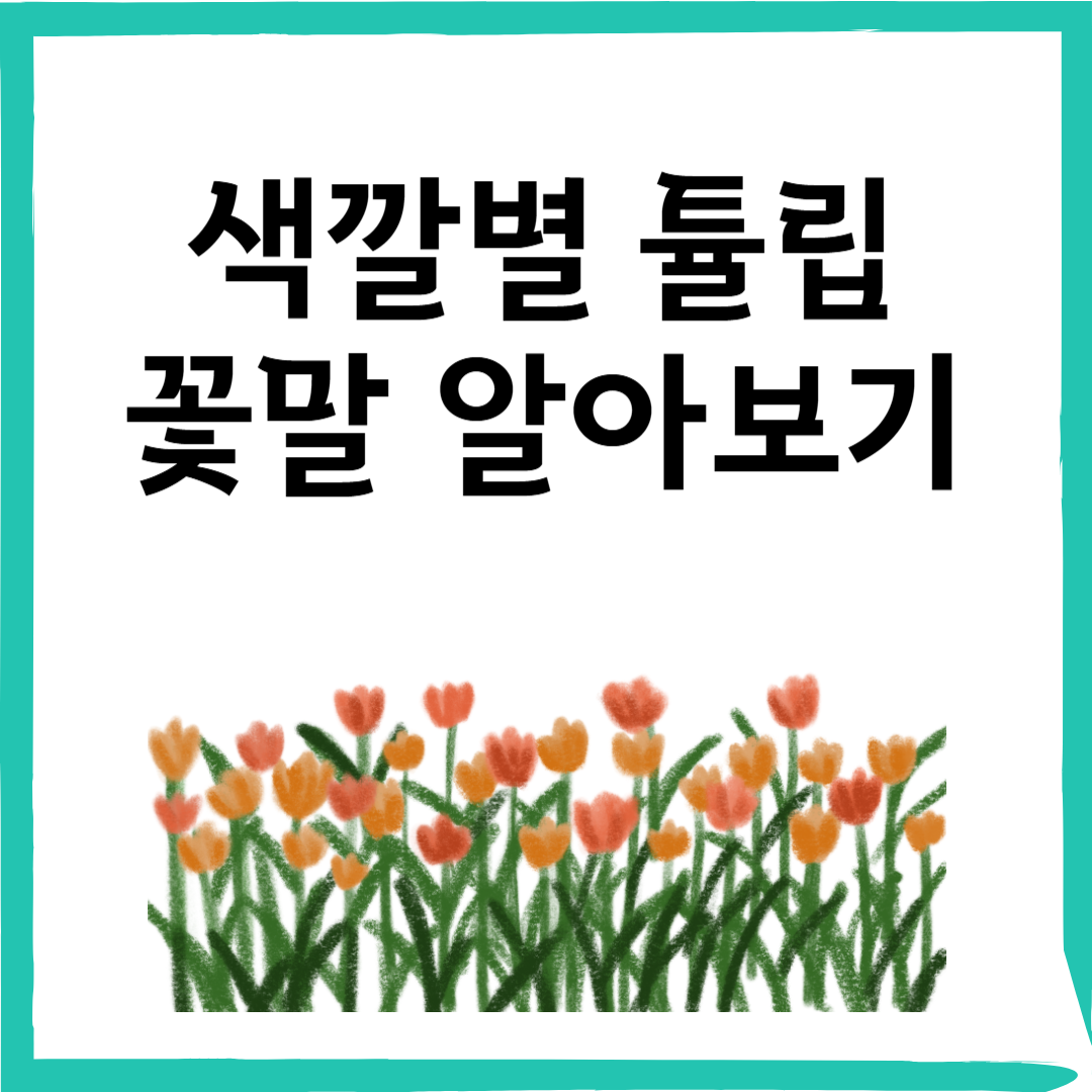 튤립 색마다 꽃말이 다르다고? 선물 전에 꼭 확인하세요!