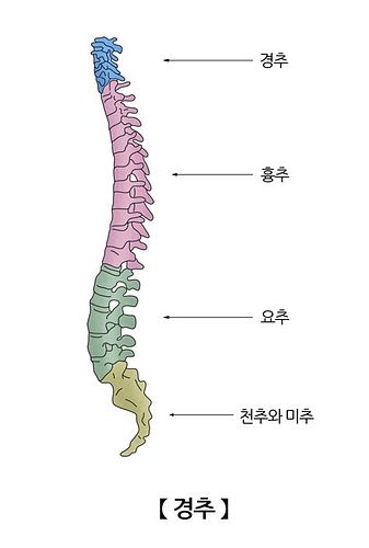 경추협착증