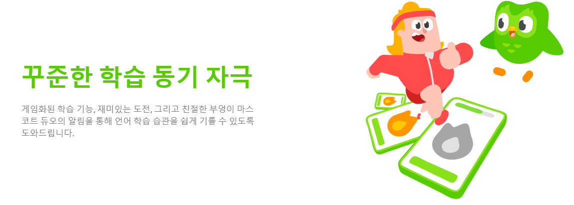 듀오링고-기능-학습동기