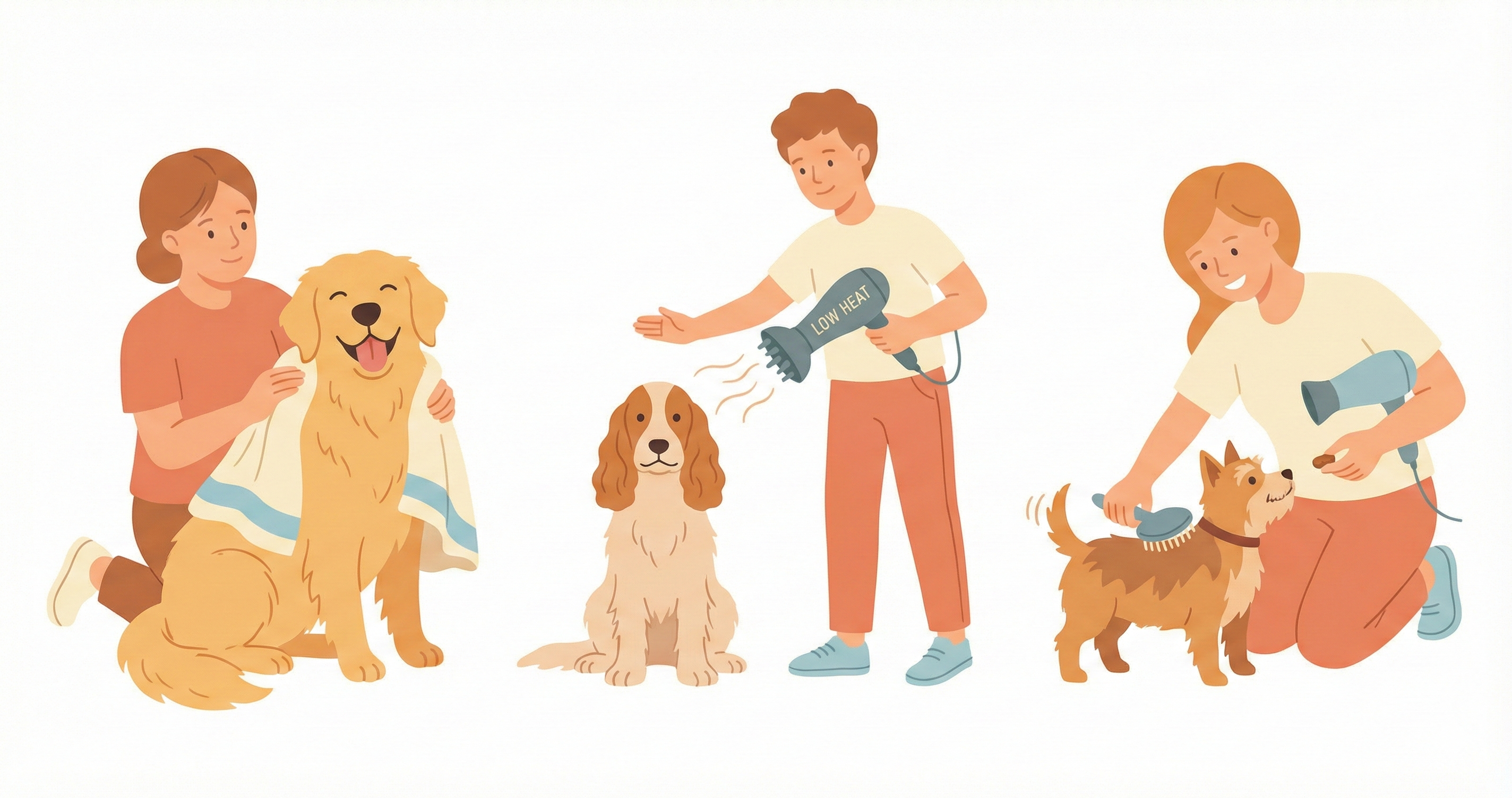 드라이기로 강아지 털 말리는 올바른 방법