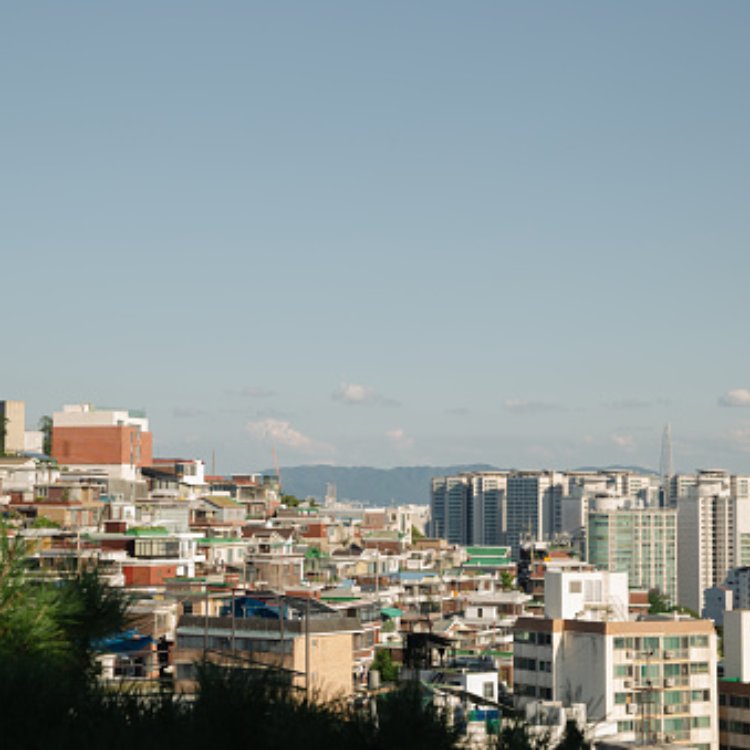 빌라왕 사망에 따른 피해 세입자