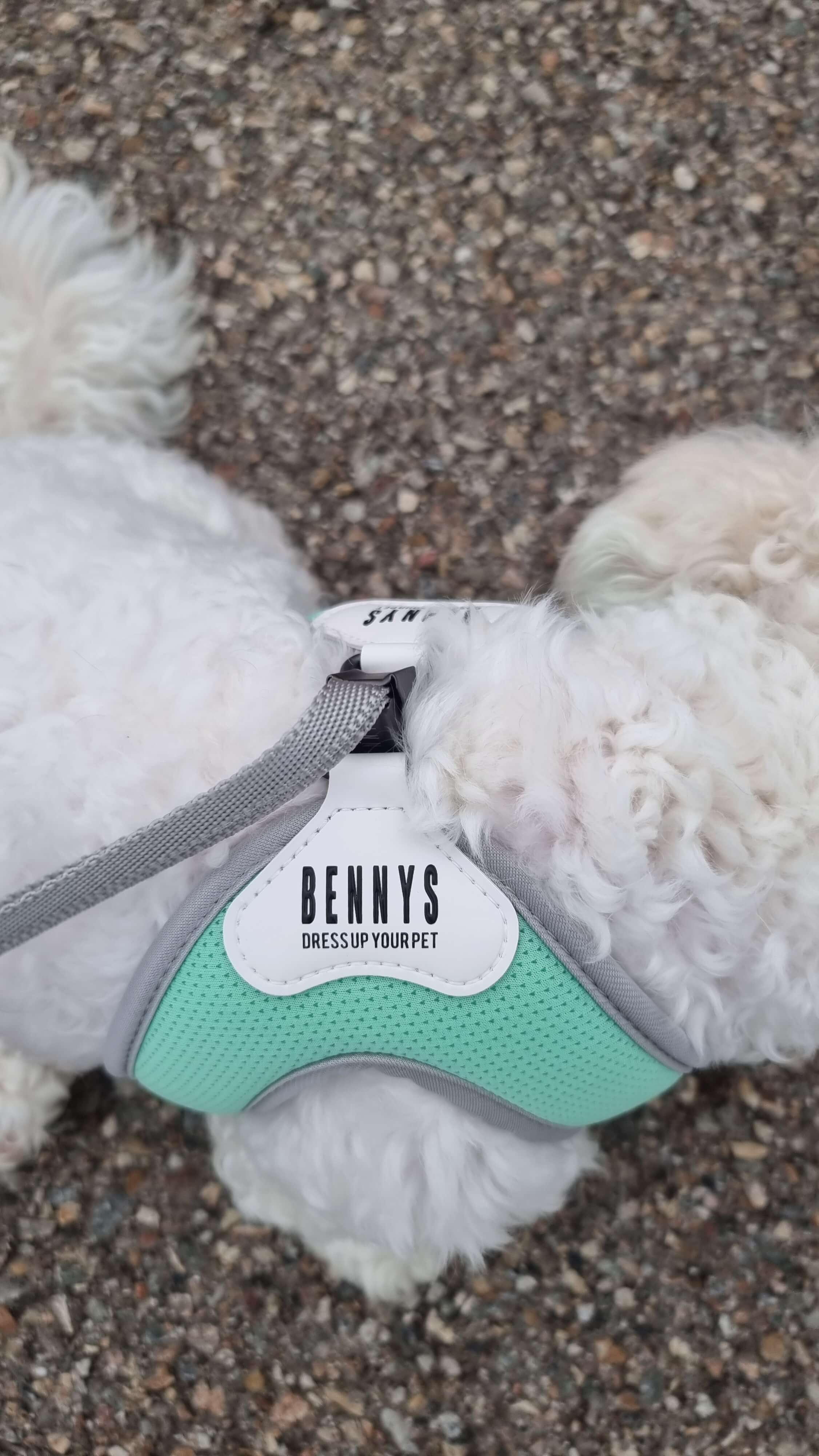 하네스 클립으로 가슴 사이즈 조절이 가능함