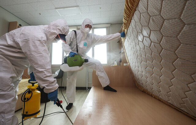 빈대 물린 자국 빈대 발견 장소 