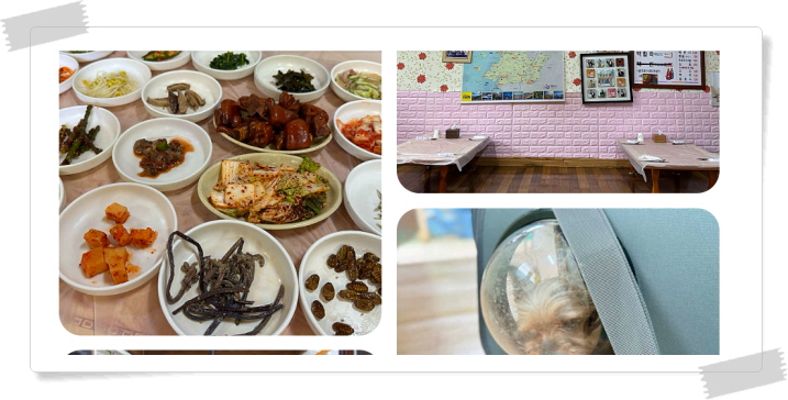 전현무계획2 영광 백합죽 후기