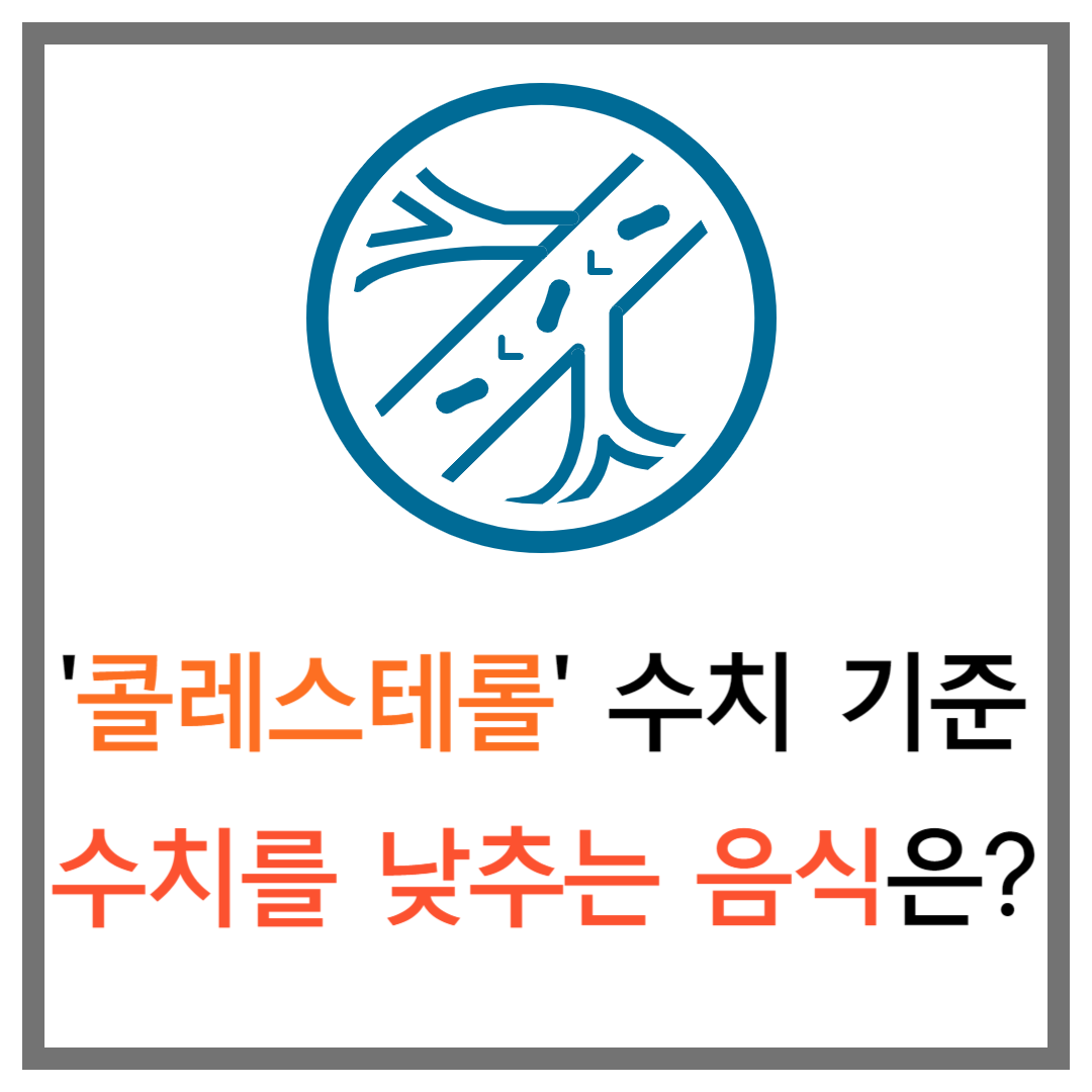 콜레스테롤 수치&#44; 콜레스테롤 수치 낮추는 음식