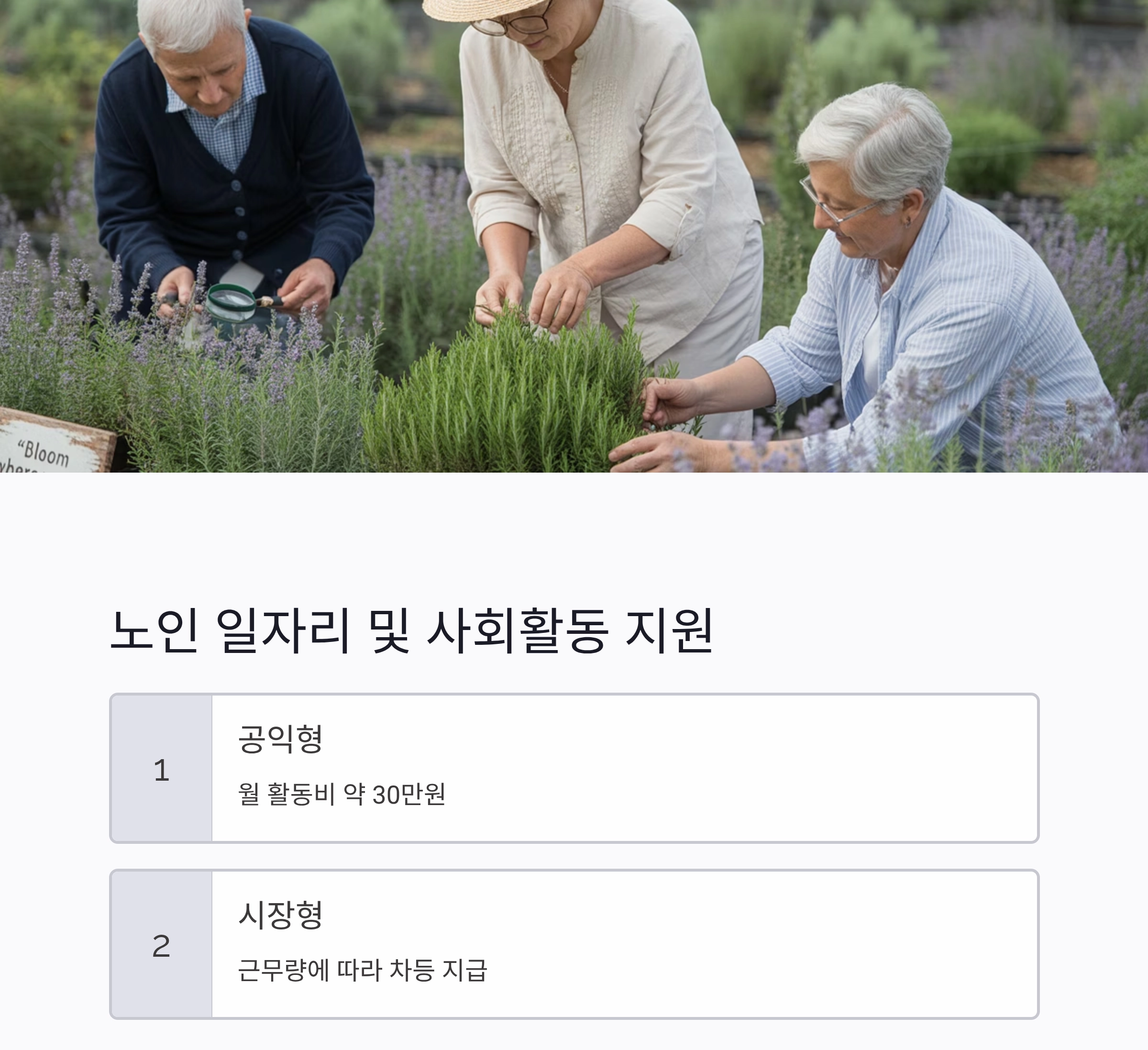 2025년 국가 노인복지 서비스 한눈에 정리 가이드