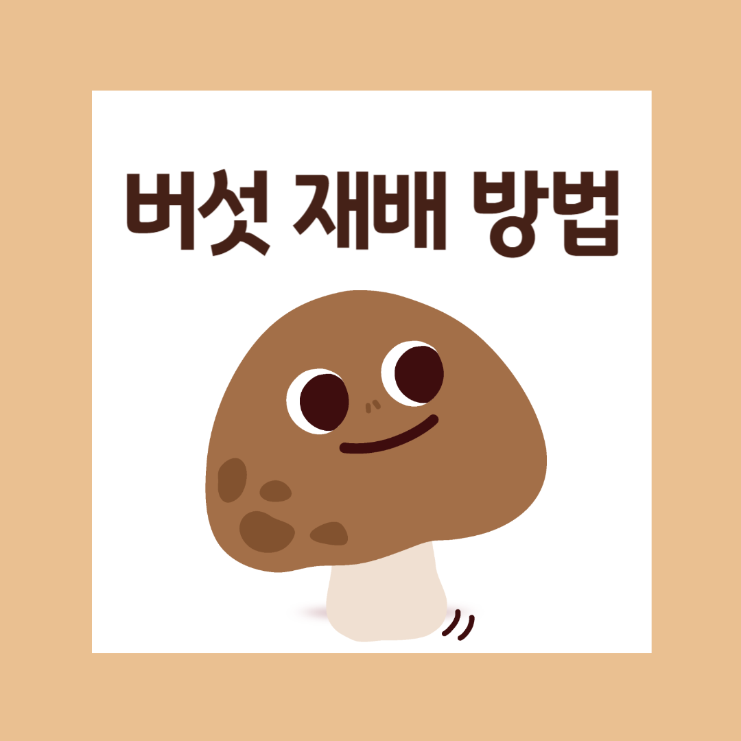 대표적인 버섯 재배 방식 6가지