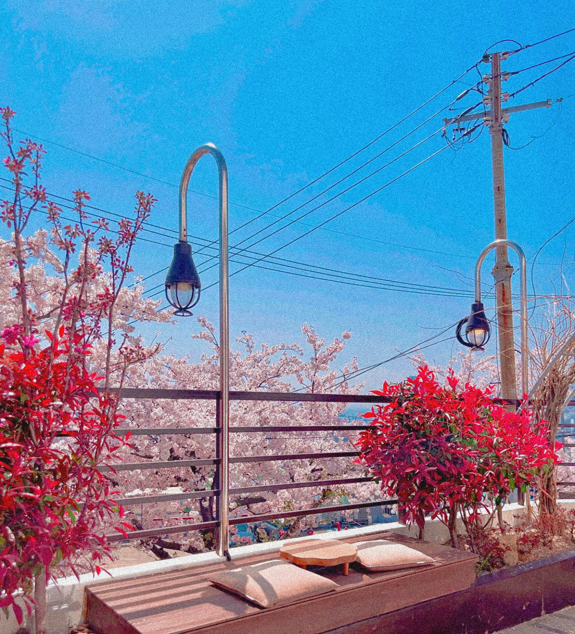 카페 다라래 야외 테라스 사진